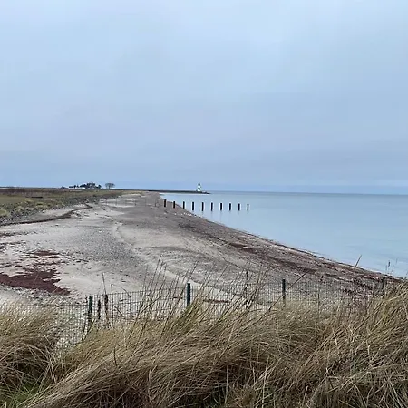 Auf Der Ostsee - Original